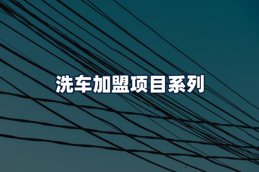 洗车加盟项目
