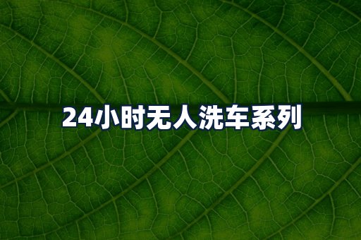 24小时无人洗车